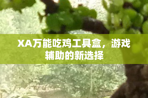 XA万能吃鸡工具盒图片