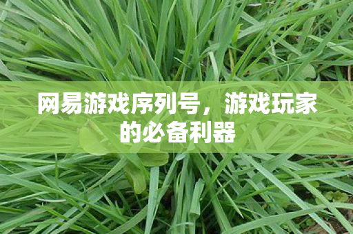 游戏玩家的必备利器图片