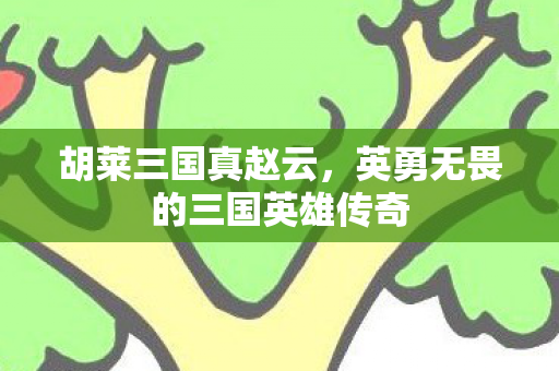 英勇无畏的三国英雄传奇图片