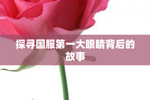 探寻国服第一大眼睛背后的故事图片