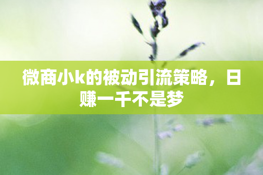 微商小k的被动引流策略图片