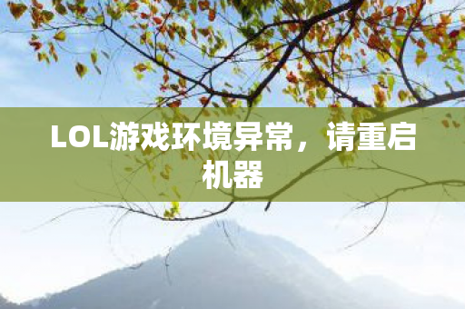 LOL游戏环境异常图片