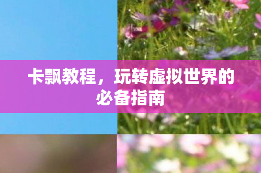 玩转虚拟世界的必备指南图片
