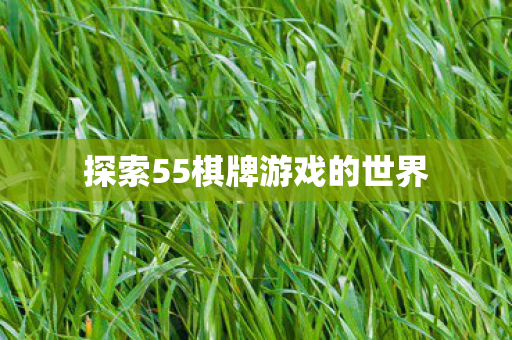 探索55棋牌游戏的世界图片
