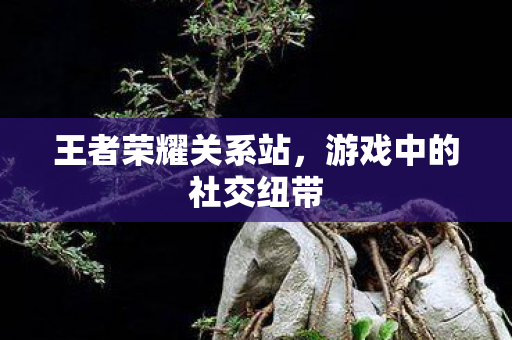 游戏中的社交纽带图片