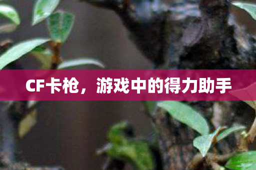 游戏中的得力助手图片