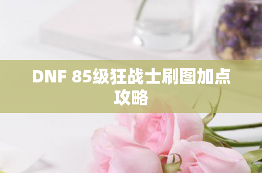 DNF 85级狂战士刷图加点攻略图片