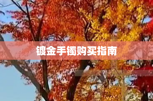 镀金手镯购买指南图片