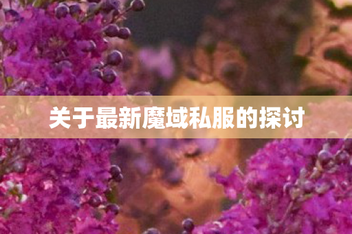关于最新魔域私服的探讨图片