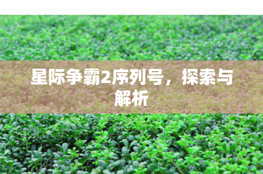 星际争霸2序列号图片