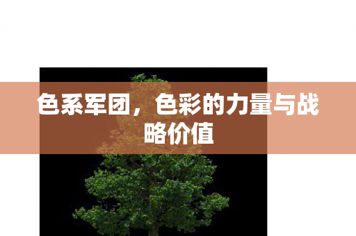 色彩的力量与战略价值图片
