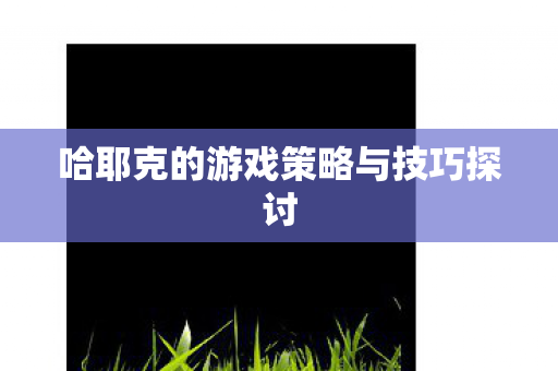 哈耶克的游戏策略与技巧探讨图片