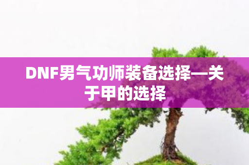 DNF男气功师装备选择图片