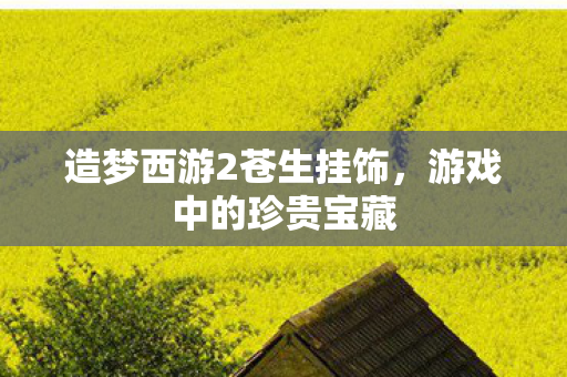 造梦西游2苍生挂饰图片