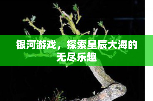 探索星辰大海的无尽乐趣图片