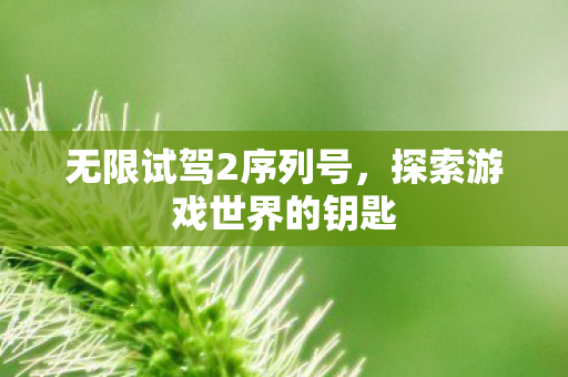 探索游戏世界的钥匙图片