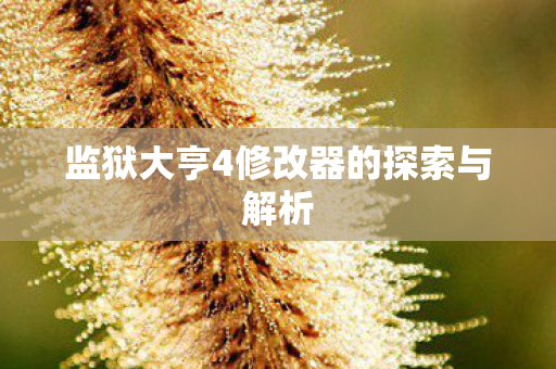 监狱大亨4修改器的探索与解析图片