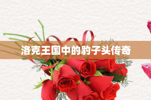洛克王国中的豹子头传奇图片