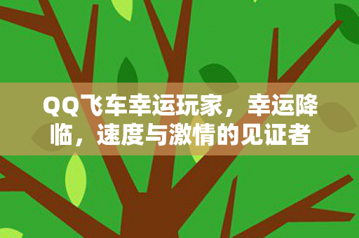 速度与激情的见证者图片
