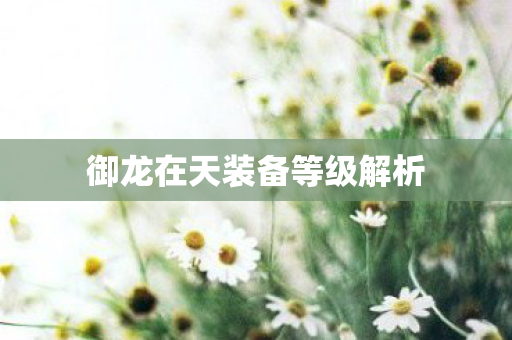 御龙在天装备等级解析图片