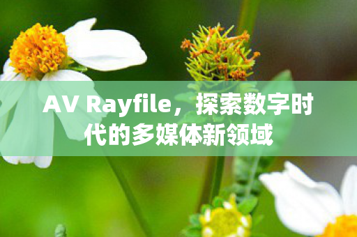 探索数字时代的多媒体新领域图片