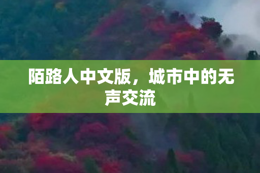 城市中的无声交流图片