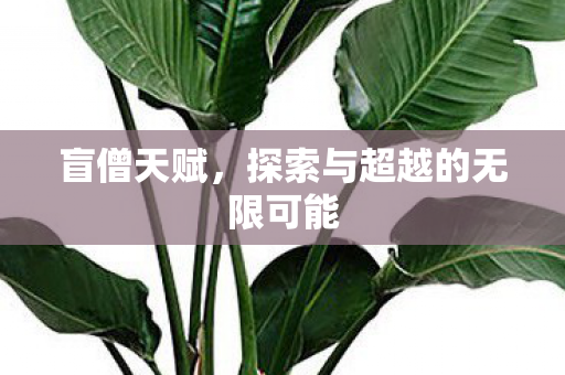 探索与超越的无限可能图片