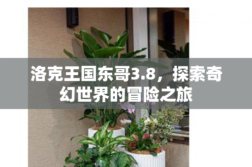 探索奇幻世界的冒险之旅图片