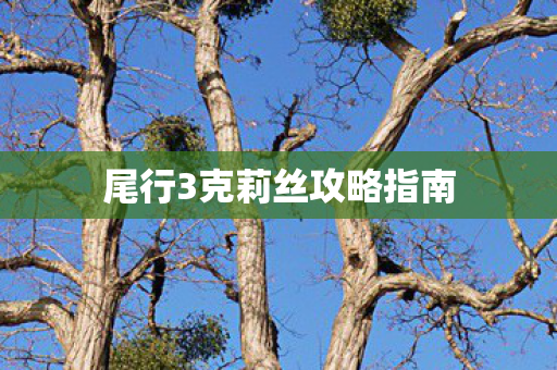 尾行3克莉丝攻略指南图片