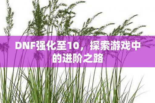 探索游戏中的进阶之路图片