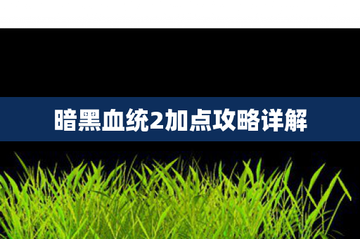 暗黑血统2加点攻略详解图片