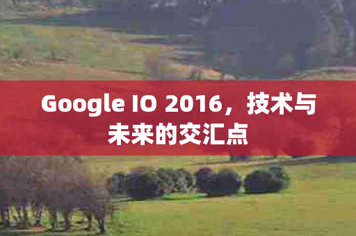 Google IO 2016图片