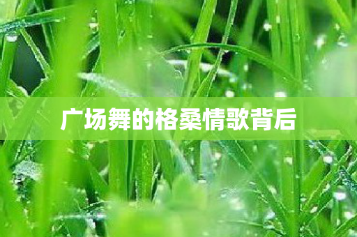 广场舞的格桑情歌背后图片