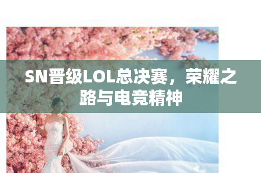 SN晋级LOL总决赛图片