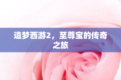 至尊宝的传奇之旅图片
