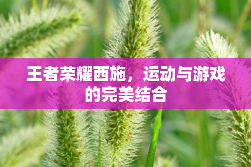 运动与游戏的完美结合图片