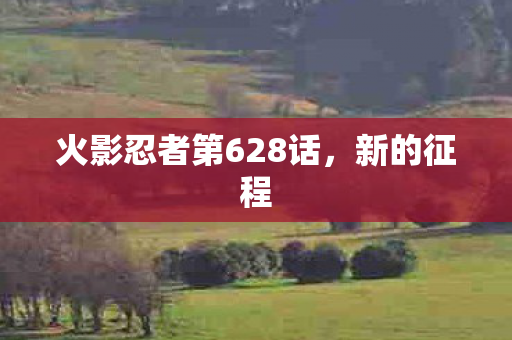 火影忍者第628话图片