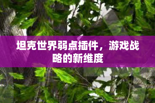 坦克世界弱点插件图片