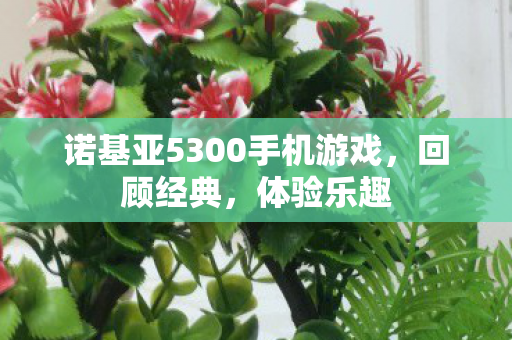 诺基亚5300手机游戏图片