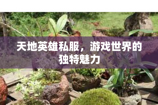 游戏世界的独特魅力图片