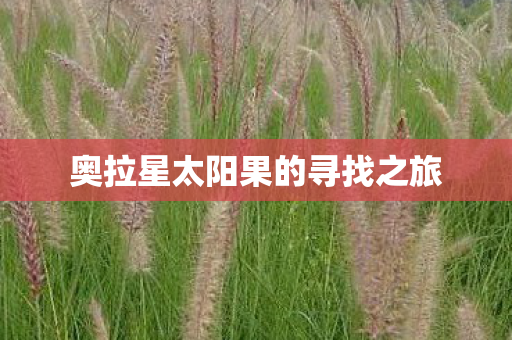 奥拉星太阳果的寻找之旅图片