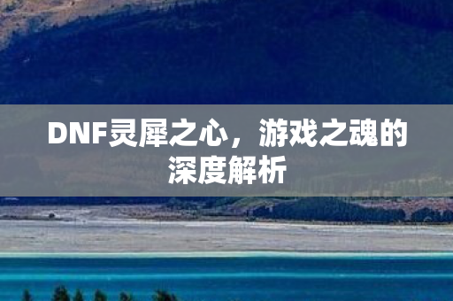 游戏之魂的深度解析图片