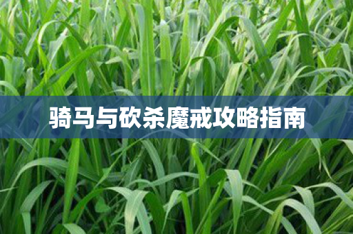 骑马与砍杀魔戒攻略指南图片