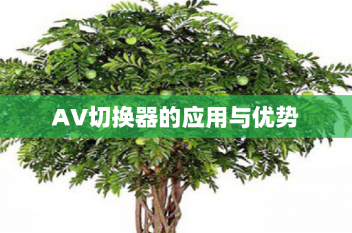 AV切换器的应用与优势图片