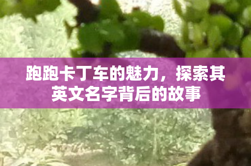 探索其英文名字背后的故事图片