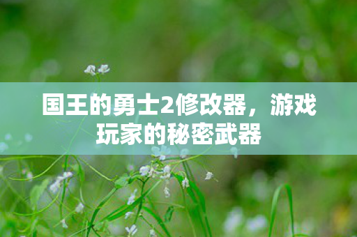 国王的勇士2修改器图片