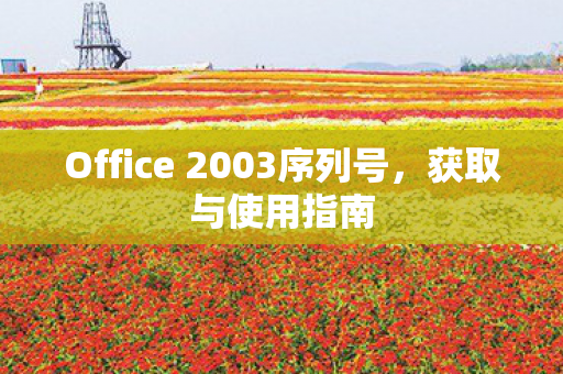 Office 2003序列号图片