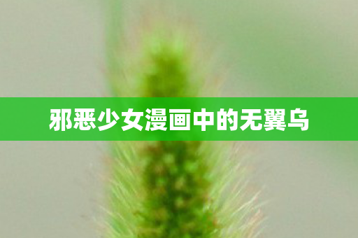 邪恶少女漫画中的无翼乌图片