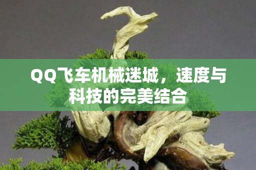 速度与科技的完美结合图片