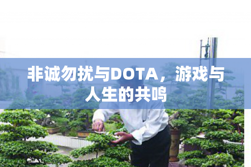 非诚勿扰与DOTA图片